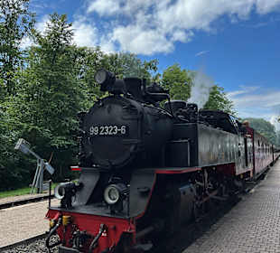Bäderbahn Molli Bad Doberan - Kühlungsborn