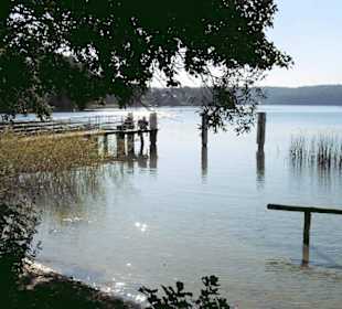 Dämmerung am Schermützelsee