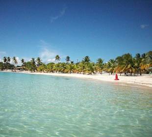 Abschied von Mano Juan - Seavis Tours