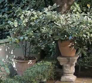 Museo Sorolla