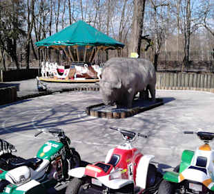 Tierpark Hellabrunn in München