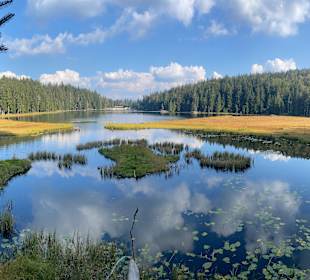 Großer Arbersee