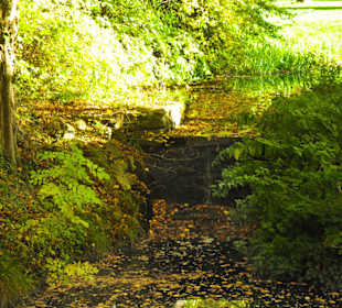 Парк Замка Ойтин. Золотая осень.