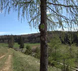Rundweg am Beutenlay