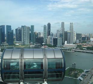 Ganz oben angekommen