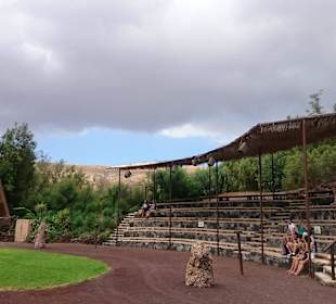 Bild aus dem schönen Oasis Park