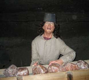 Holzbergarbeiter