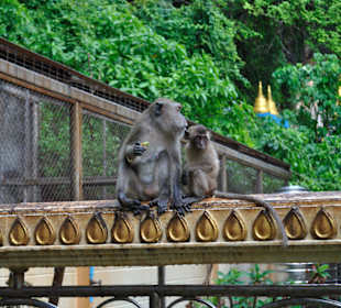 Tiger Cave Tempel (Wat Tham Sua)