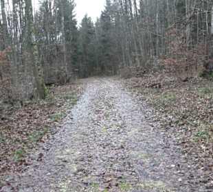 Brühl-Brünnele Ehestetten