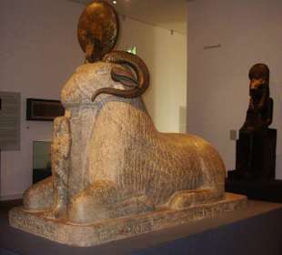 Ausstellung im Roemer-Pelizaeus-Museum