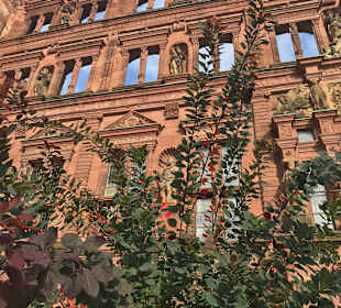 Schloss Heidelberg