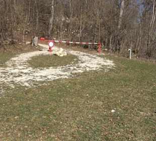 Burgruine Hohenstein