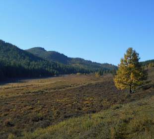 Gorkhi Terelj Nationalpark