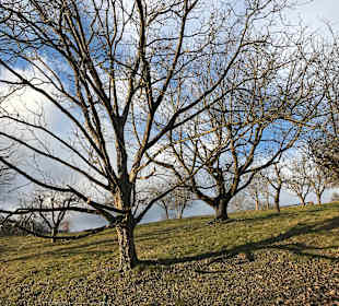 Wandern Bad Waltersdorf