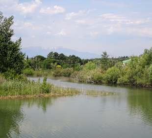 Das Ökoreservat am Lac de Villeneuve-de-la-Raho