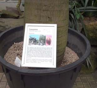 Tropicarium - Trockentropen