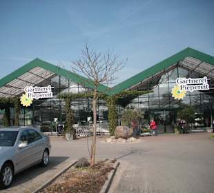 Eingangsbereich mit Parkplatz