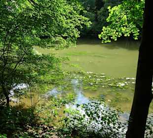 Blick auf den linken Regnitzarm