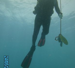 Jasmin Diving Center