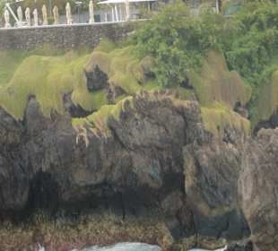 Inselrundfahrt Madeira