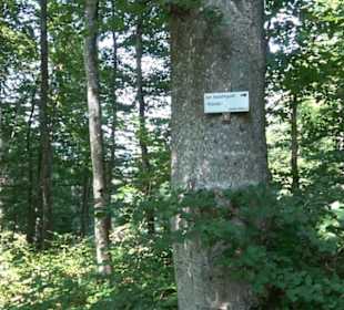 Sternberg Brünnele