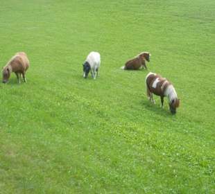 Wandern Oberbozen nach Maria Saal