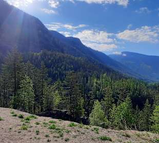Farbenspiele der Natur