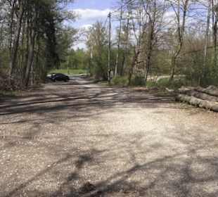 Waldsportpfad im Wasenwald