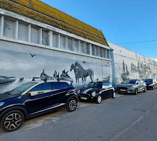 Stadtrundgang Olhão rund um den Yachthafen