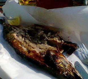 Steckerlfisch -Makrele-