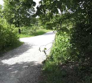 Hohenloher Freilandmuseum