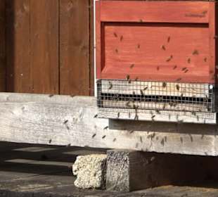 Bienenlehrpfad