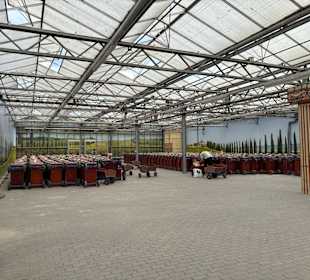 Irrland Bauernhof-Erlebnisoase