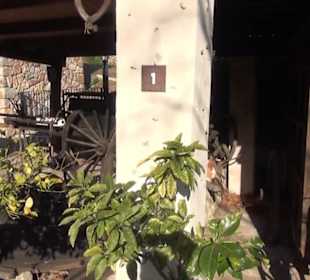 Aussenbereich - Drescherei