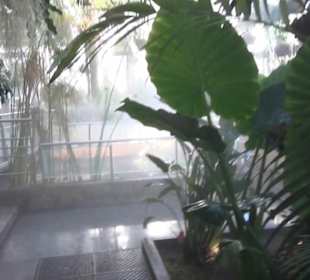 Real Jardín Botánico de Madrid