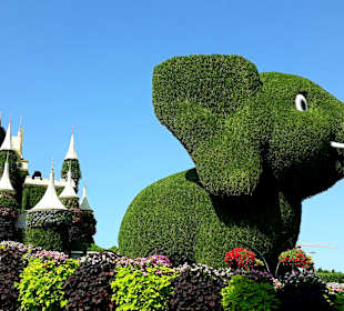 Miracle Garden