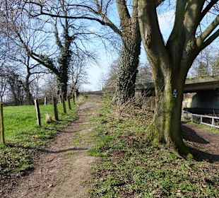 Abwechslungsreicher Weg vorbei an der Rennbahnstre