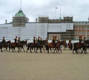 Horse Guard