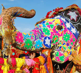 Elefant  Festival in Jaipur