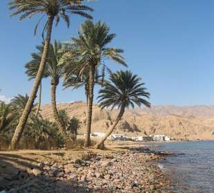 Plaża, dzika plaża