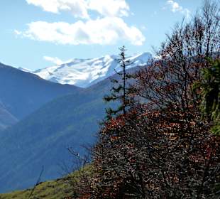Ausblick