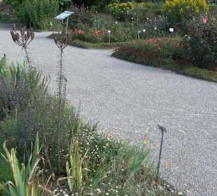 Botanischer Garten München