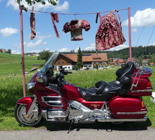 Skulptur / Plastik "R.O.T.;"