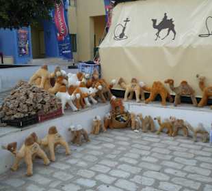 In der Medina Anlage