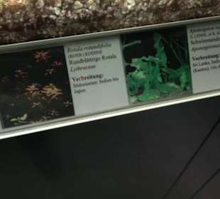 Aquarium