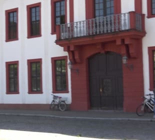 Heidelberger Akademie der Wissenschaften