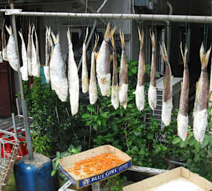 getrockneter Fisch