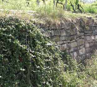 Früchtetrauf - Wurmlinger Kapellenwegle