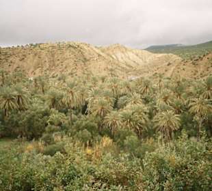 Paradise Valley