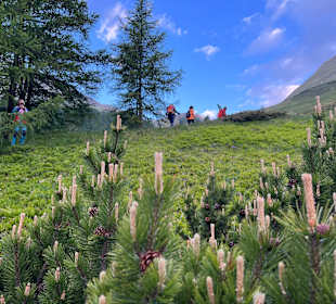 Wandern Kals am Großglockner